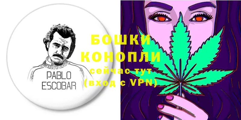 Марихуана SATIVA & INDICA  Карпинск 